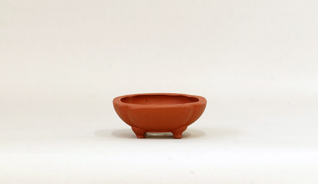 正方浅木瓜鉢 英明 7.9cm JE003