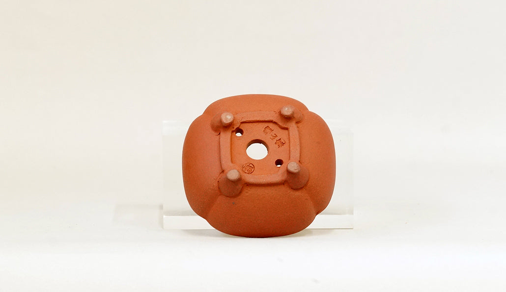 正方浅木瓜鉢 英明 7.9cm JE003