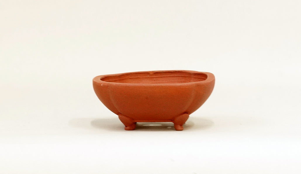 正方木瓜浅鉢 英明 9.8cm JE004