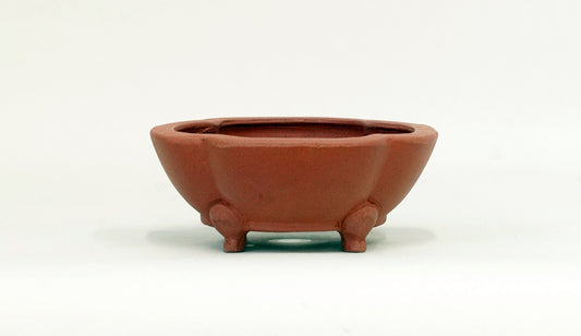 正方木瓜鉢 英明 11.7cm JE011