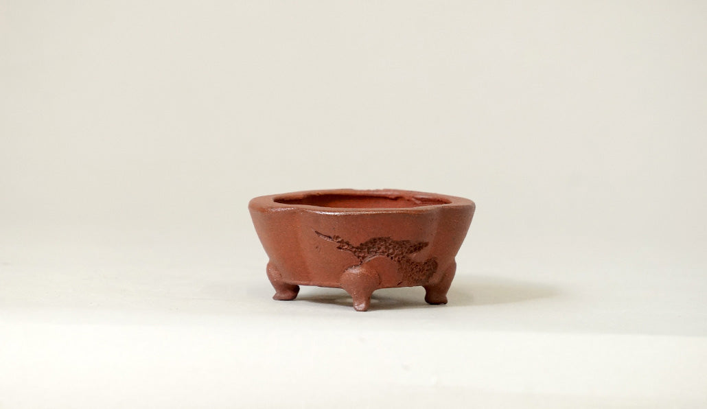 朱泥正方木瓜虫喰鉢 英明 5.8cm JE016