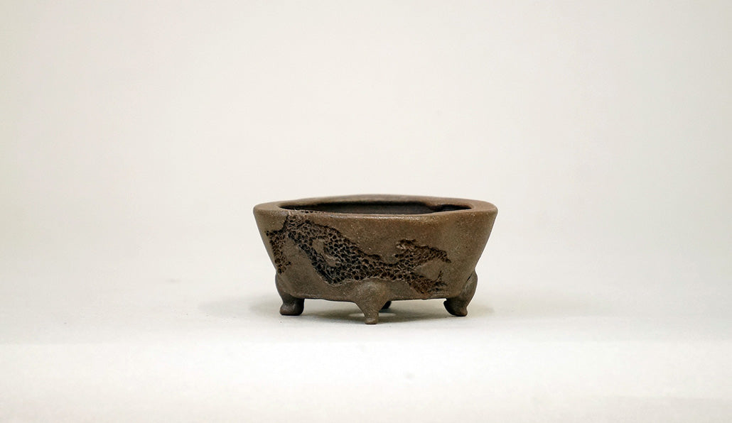 紫泥正方木瓜虫喰鉢 英明 5.8cm JE017