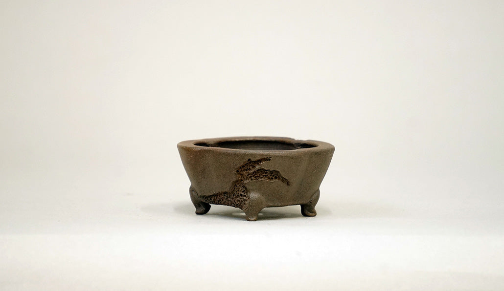 紫泥正方木瓜虫喰鉢 英明 5.8cm JE017