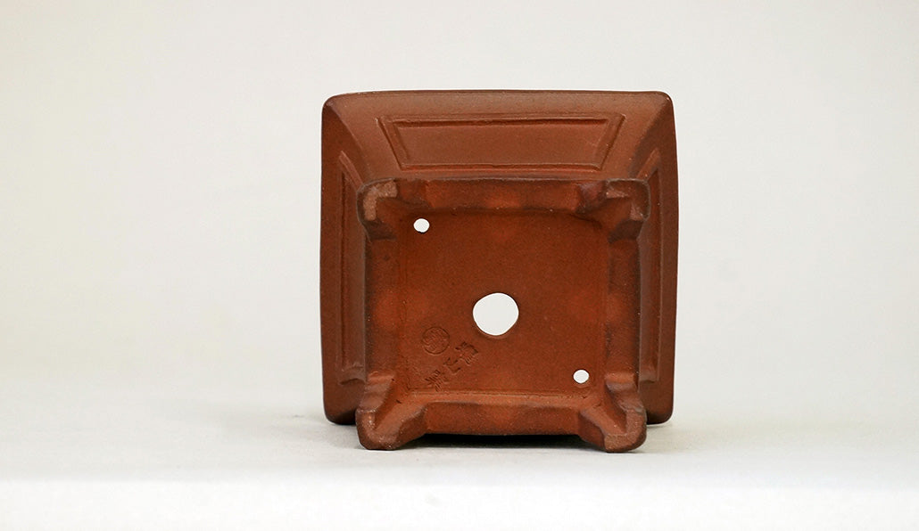 朱泥正方鉢 英明 8cm JE023　