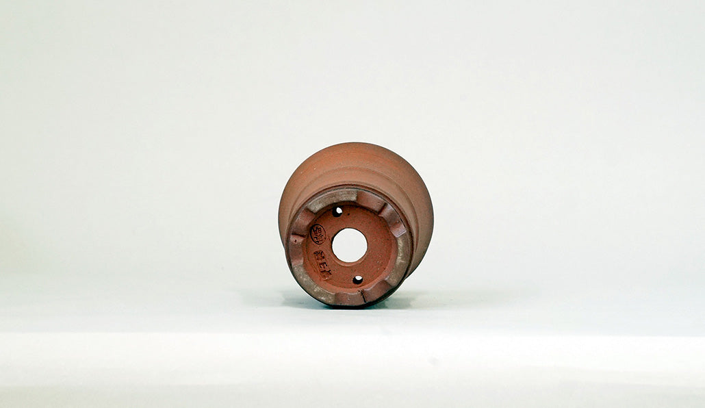 朱泥筒型丸鉢 英明 7.8cm JE029　
