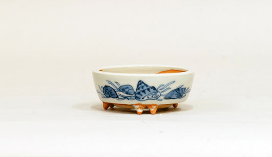 貝づくし染付丸鉢 月山 ６cm JG276