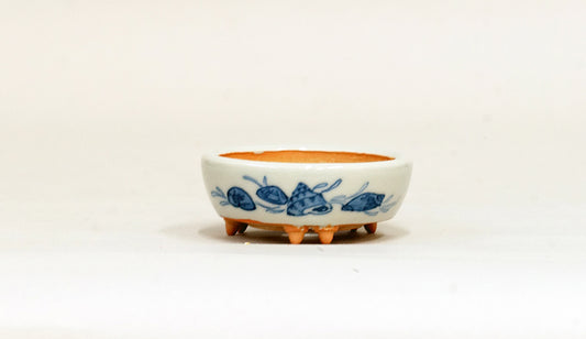 貝づくし染付丸鉢 月山 ６cm JG278