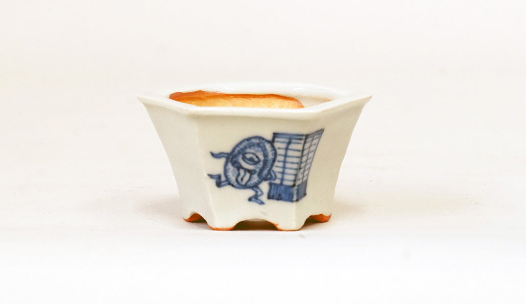 草履お化けの六角鉢 月山 7cm JG307