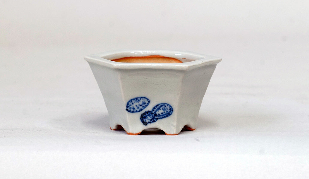 草履お化けの六角鉢 月山 7cm JG308