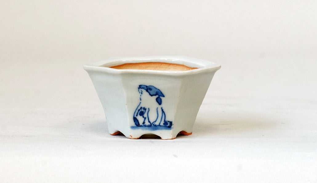 再入荷！三面子犬図六角鉢 月山 7cm JG311
