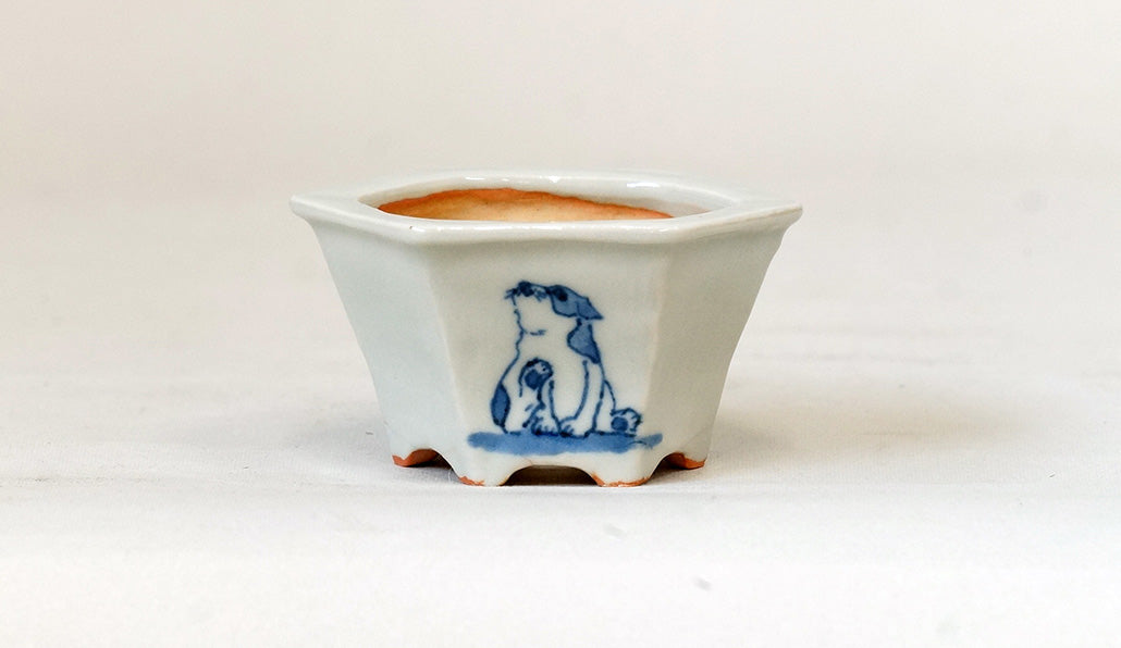再入荷！三面子犬図六角鉢 月山 7cm JG312