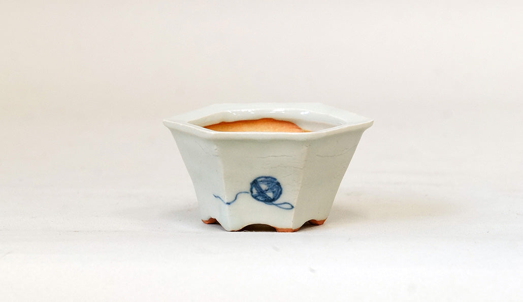再入荷！猫と手毬の六角鉢 月山 7cm JG314