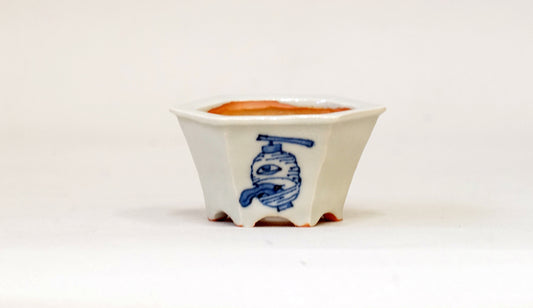 再入荷！提灯お化けの六角鉢 月山 7cm JG328