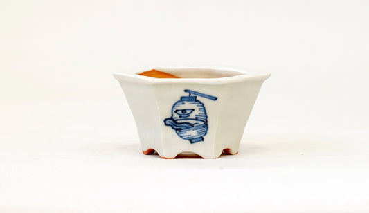 再入荷！提灯お化けの六角鉢 月山 7cm JG333
