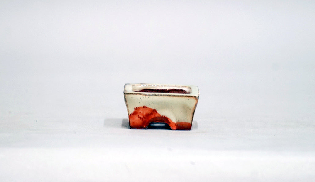 盆栽鉢ストアゆきもの｜盆栽鉢｜月山