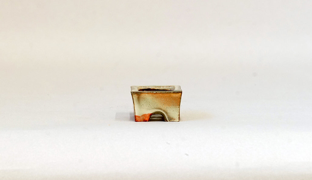 赤絵豆鉢 月山 3.7cm JG355