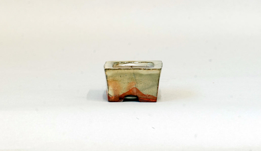 赤絵長方鉢 月山 4.5cm JG358