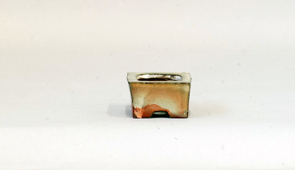 赤絵長方鉢 月山 4.5cm JG358