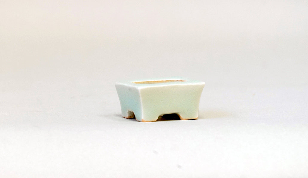 青白磁豆長方鉢 白波 月山 3.6cm JG362