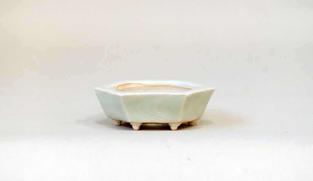 青白磁六角鉢 白波 月山 7cm JG365