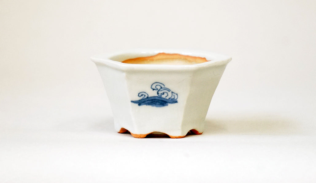 クジラの六角鉢 月山 7cm JG372 (北の動物シリーズ）　