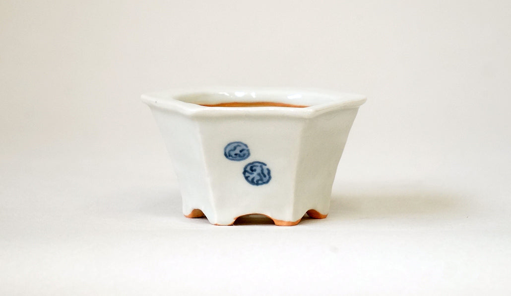 エゾリスの六角鉢 月山 7cm JG377 (北の動物シリーズ）　