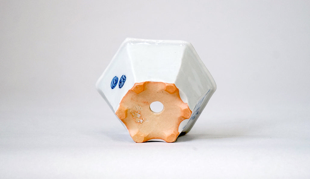 エゾリスの六角鉢 月山 7cm JG377 (北の動物シリーズ）　