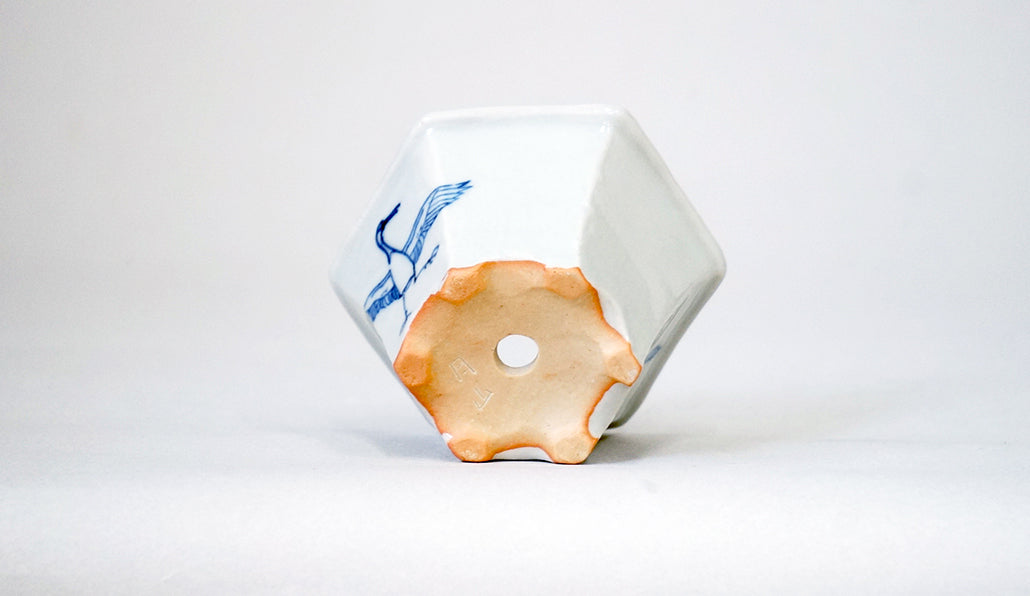 丹頂鶴の六角鉢 月山 7cm JG379 (北の動物シリーズ）　