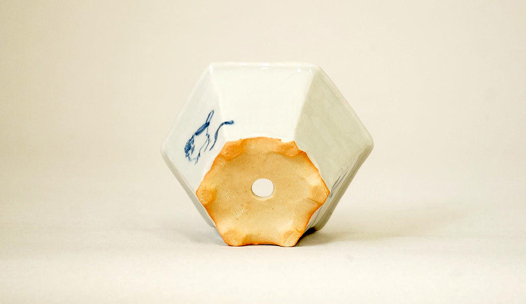 再登場！雀の六角鉢 月山 7cm JG380