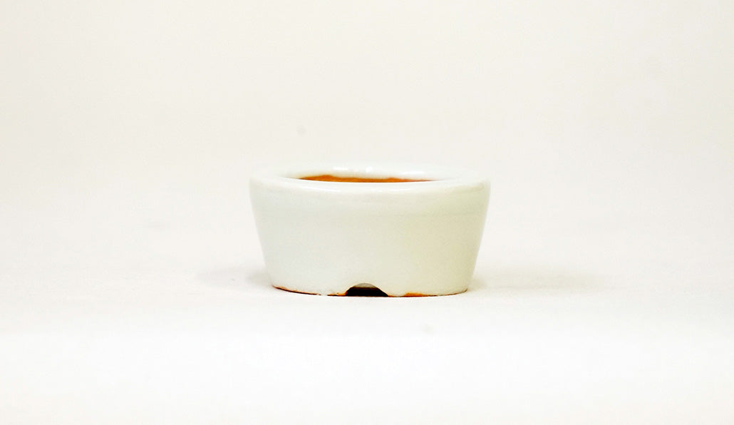 鴨川オオサンショウウオの丸鉢 月山 3.5cm JG390
