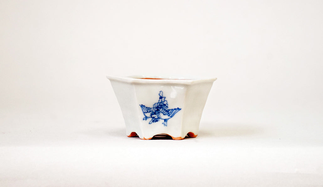 飛び回る天狗の六角鉢  月山 7cm JG394 (夏のあやあしシリーズ）　
