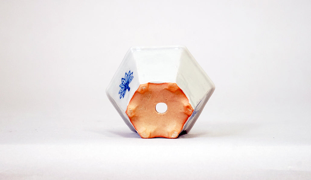 飛び回る天狗の六角鉢  月山 7cm JG394 (夏のあやあしシリーズ）　