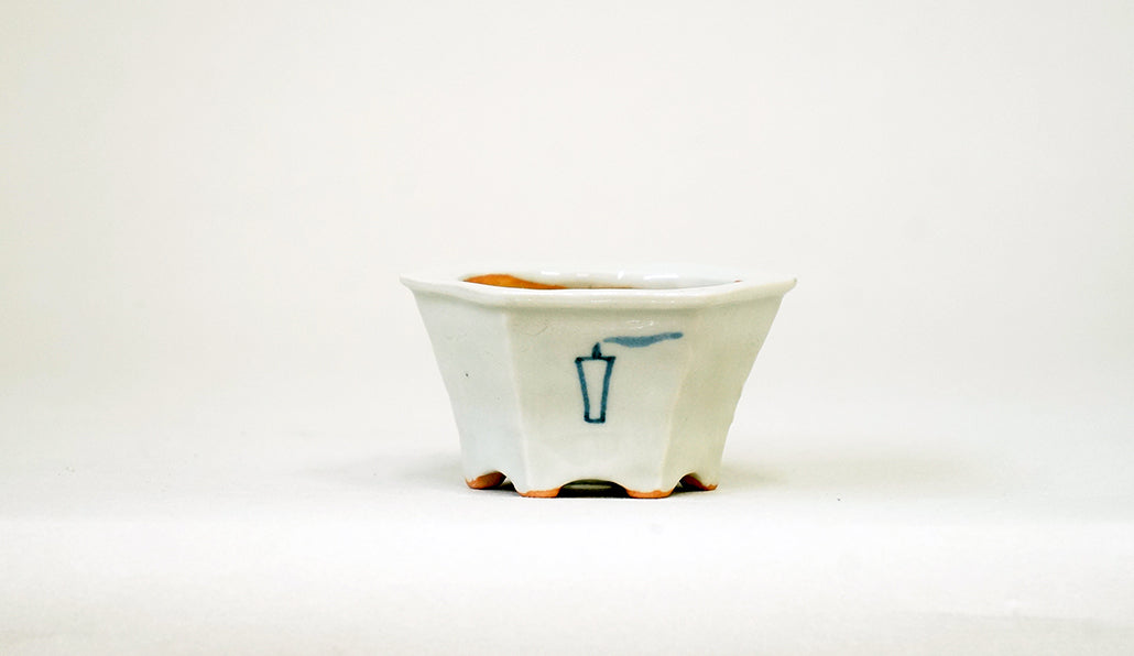 右向きお岩提灯の六角鉢 月山 7cm JG399 (夏のあやあしシリーズ）　