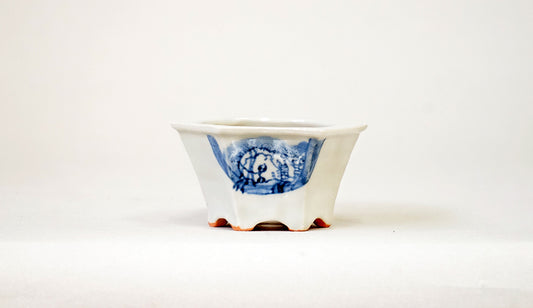 見下ろす小平二の鉢（左向き）  月山 7cm JG406 (夏のあやあしシリーズ）　