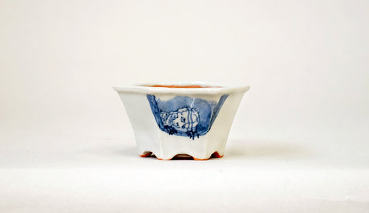 見下ろす小平二の鉢  月山 7cm JG407 (夏のあやあしシリーズ）　