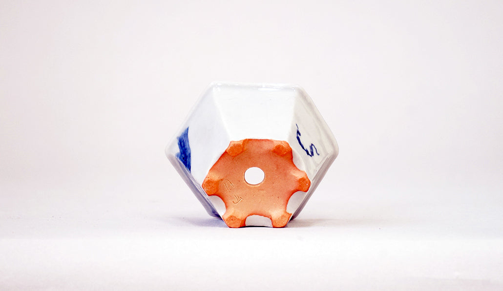 見下ろす小平二の鉢  月山 7cm JG407 (夏のあやあしシリーズ）　