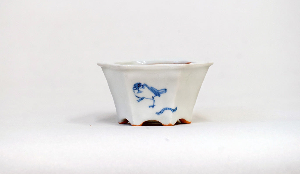 再登場！雀の六角鉢 月山 7cm JG416