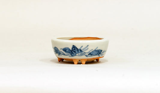貝づくし染付丸鉢 月山 ６cm JG277