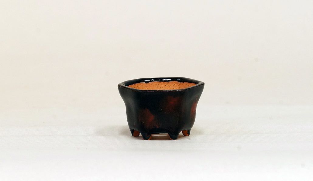 黒と赤の六角鉢 みさき圭 4.2cm K019