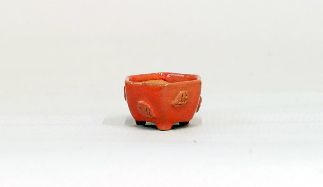 葉っぱレリーフの六角鉢 みさき圭 3.7cm K021