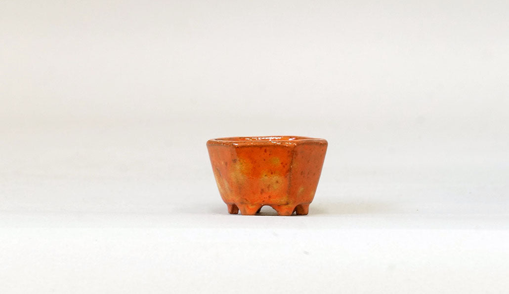 再入荷！お花のレリーフ六角鉢 みさき圭 4cm K042