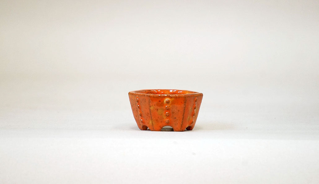 オレンジの鋲打ち六角鉢 みさき圭 4.3cm K046