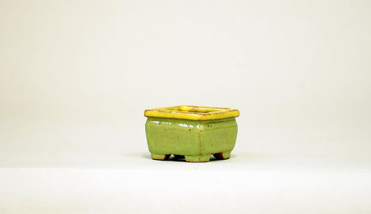 ウグイス色の正方鉢 みさき圭 3.3cm K052　