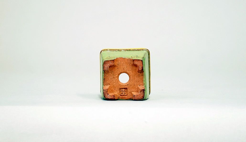 ウグイス色の正方鉢 みさき圭 3.3cm K052　