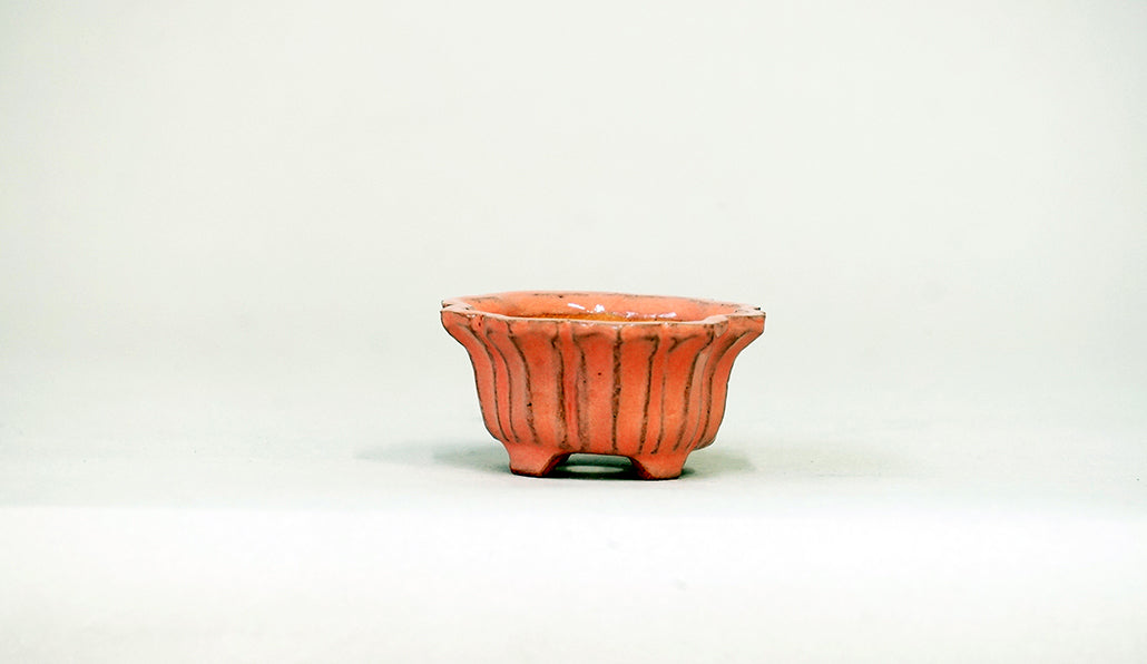 ピンクの輪花鉢 みさき圭 5cm K056
