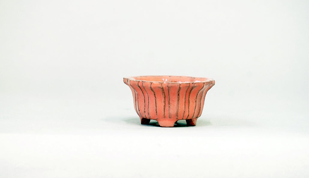 ピンクの輪花鉢 みさき圭 5cm K056