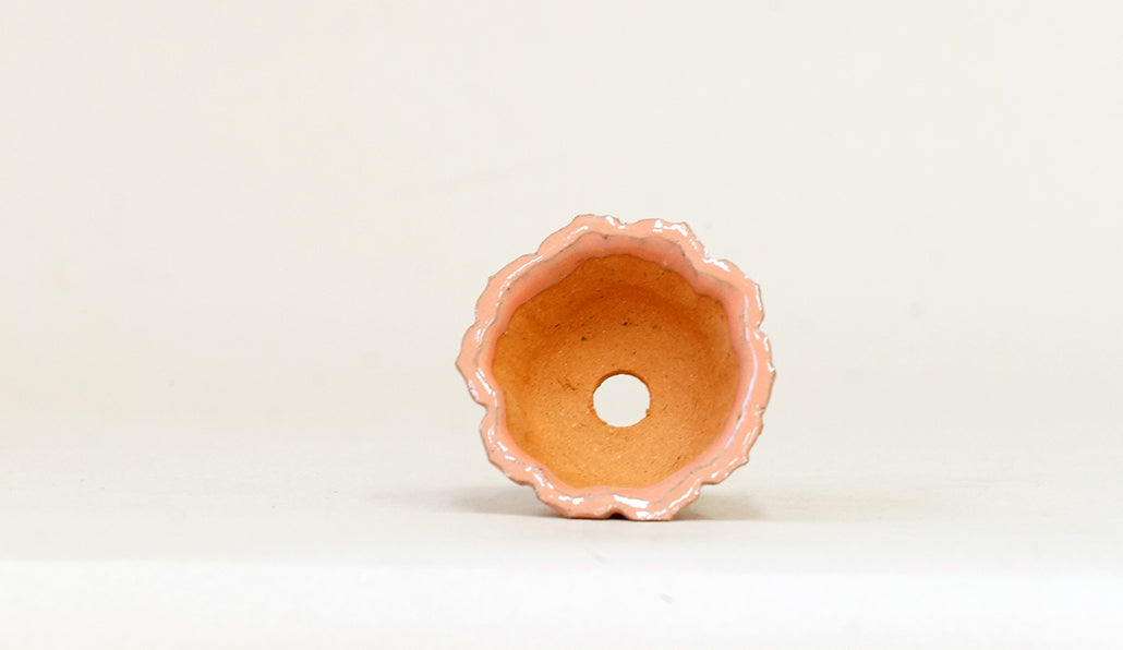 ピンクの輪花鉢 みさき圭 5cm K056