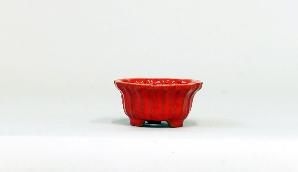 朱色の輪花鉢 みさき圭 5cm K057