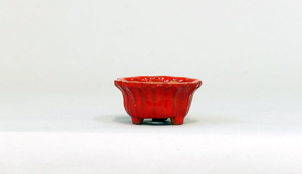 朱色の輪花鉢 みさき圭 5cm K057