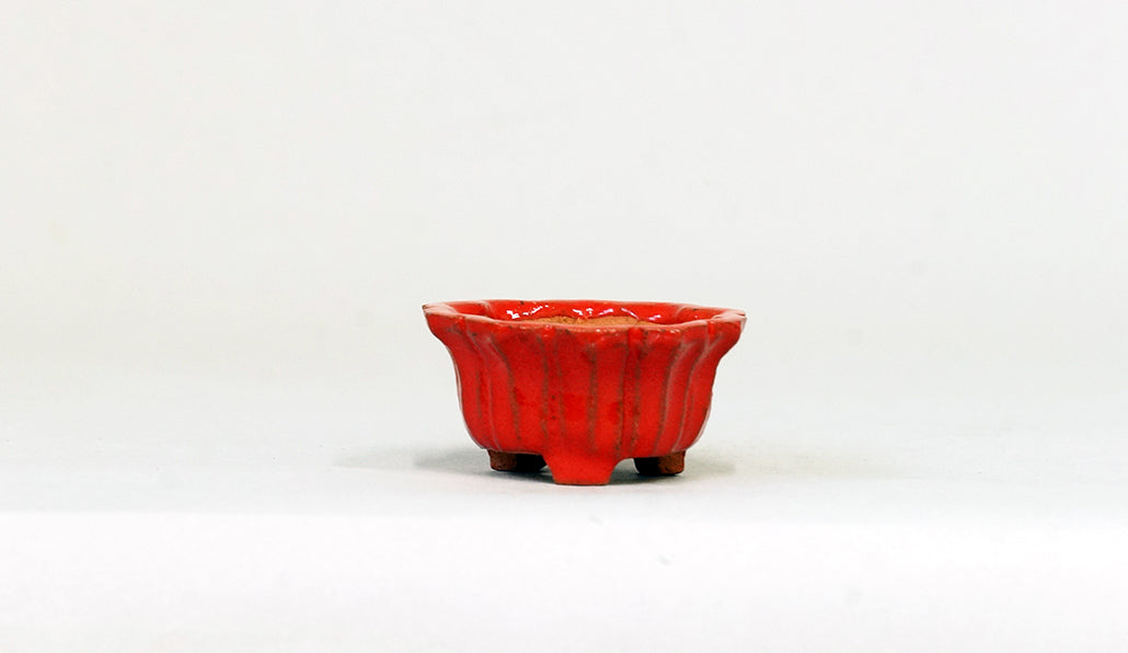 朱色の輪花鉢 みさき圭 5cm K057
